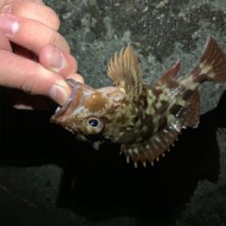 真夜中の郡六へ