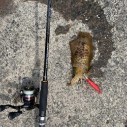 暑い！風強い！なんとかの3杯