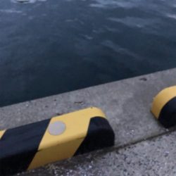 ランガンエギング