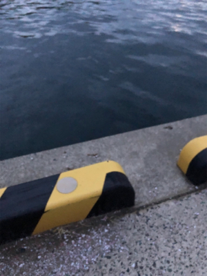 ランガンエギング