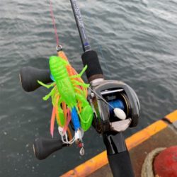 早朝のオクトパッシング