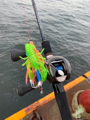 早朝のオクトパッシング