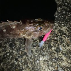 雨降る中いつも通りの場所へ