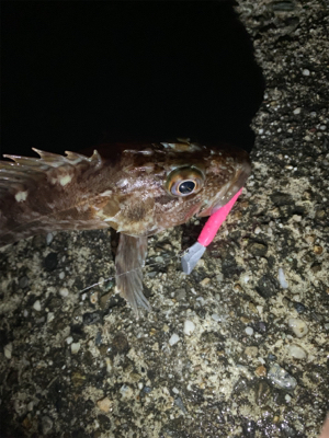 雨降る中いつも通りの場所へ
