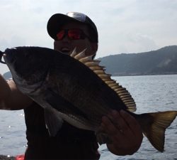 つりぴぃぽぉ釣果