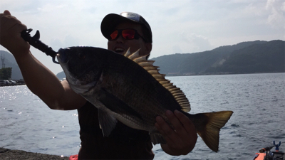 つりぴぃぽぉ釣果