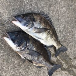 干潮前後で楽しめました