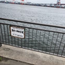 釣り解放区でフカセ釣り