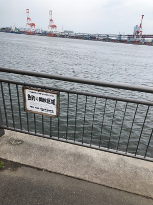 釣り解放区でフカセ釣り