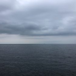 ハマチサイズまであと少し^_^