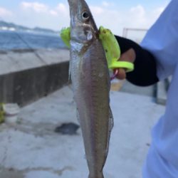 またまた 懲りずに・・・