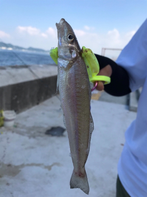 またまた 懲りずに・・・