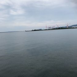 いつものアジング