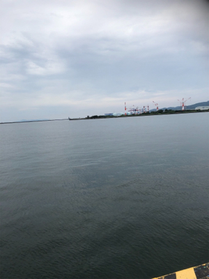 いつものアジング