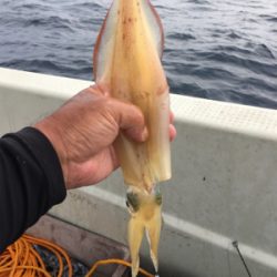 知り合いの方の船に便乗、タイラバ釣行