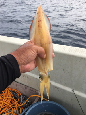 知り合いの方の船に便乗、タイラバ釣行