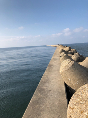 シーバスちゃん