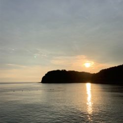 アジを餌にノマセ釣り