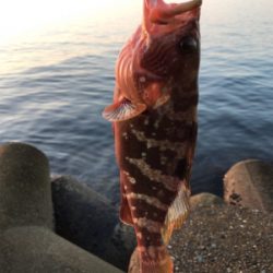 マッチザベイト