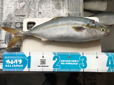 7時頃からお祭りだ〜!