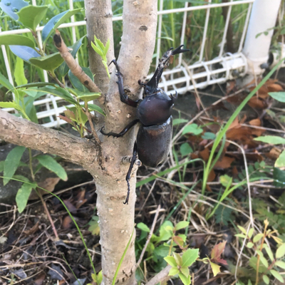 ナイト剣先♪え?意外と難しい