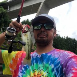 フリックシェイクで4本