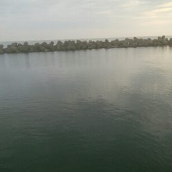 アオリイカ　7杯！！と根魚！