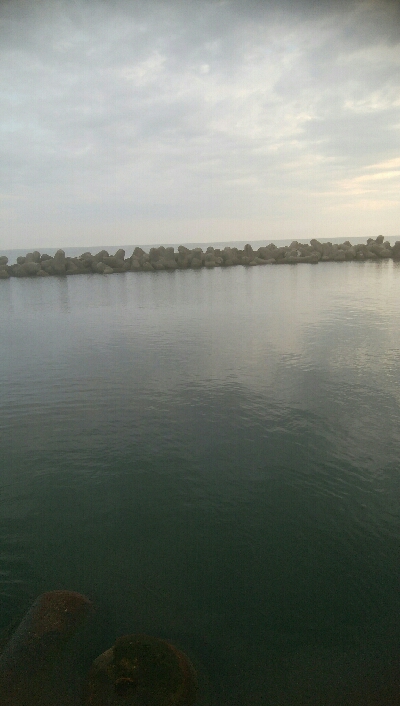 アオリイカ　7杯！！と根魚！