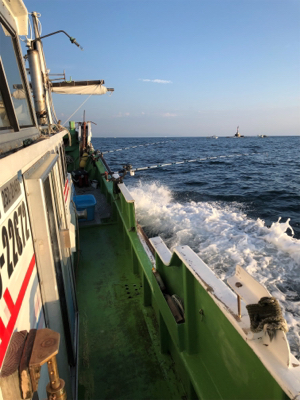 孝洋丸 落とし込み