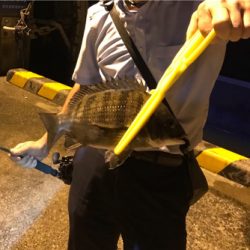 ちょこっと釣行