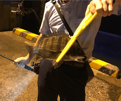 ちょこっと釣行