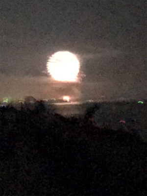 中アジが復活！