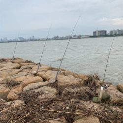 有まづめから日没までのぶっ込み釣り