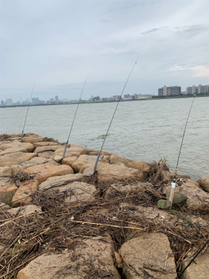 有まづめから日没までのぶっ込み釣り