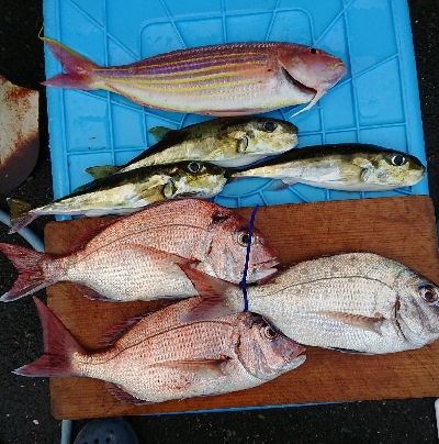 スーパーライトジギング？