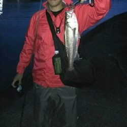 チヌチヌおチヌ