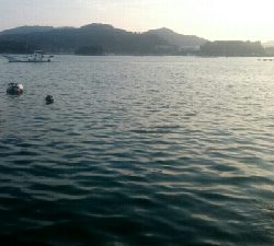 ガンクロゲーム