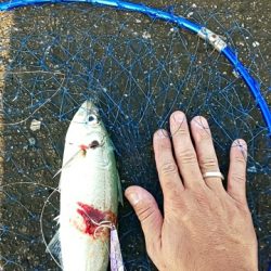 久々の水軒一文字