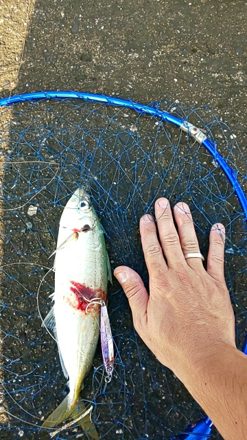 久々の水軒一文字