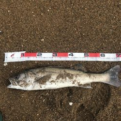 台風後の荒れサーフ