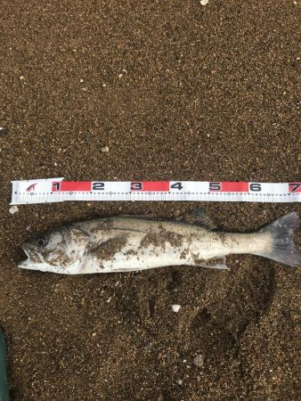 台風後の荒れサーフ