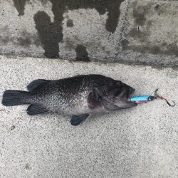 久しぶりの釣り！