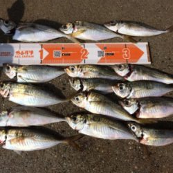 久しぶりフロートゲーム