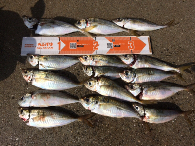 久しぶりフロートゲーム