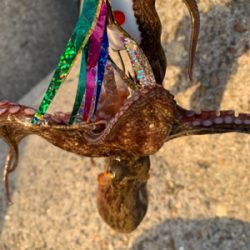 盆休み3日目、まぁまぁ!