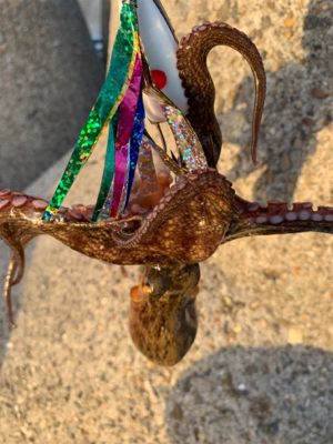 盆休み3日目、まぁまぁ!