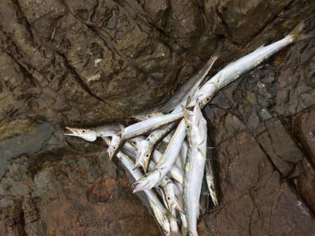 夏のライトショアジギング9