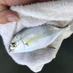 サイズアップメッキ！