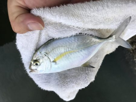 サイズアップメッキ！