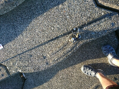 夏本番！！トップチニングで本チヌゲット！！